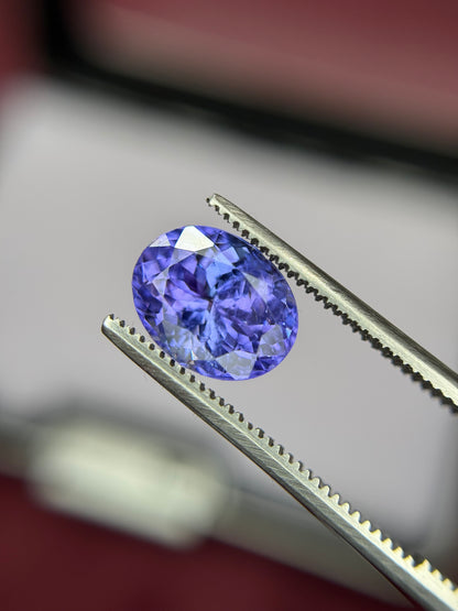 2.63CT Tanzanite